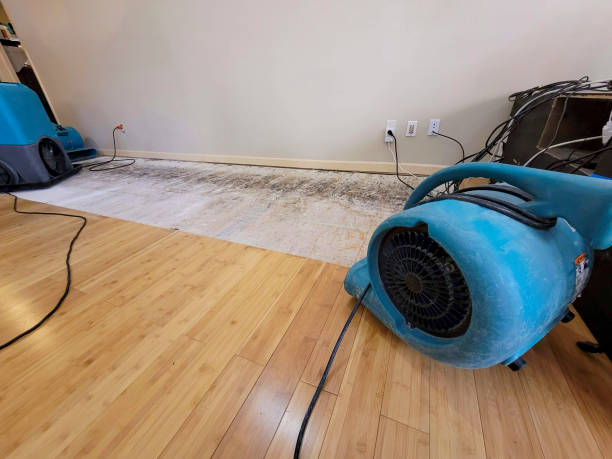 Professional Water Damage Repair technician working in Helena, OK